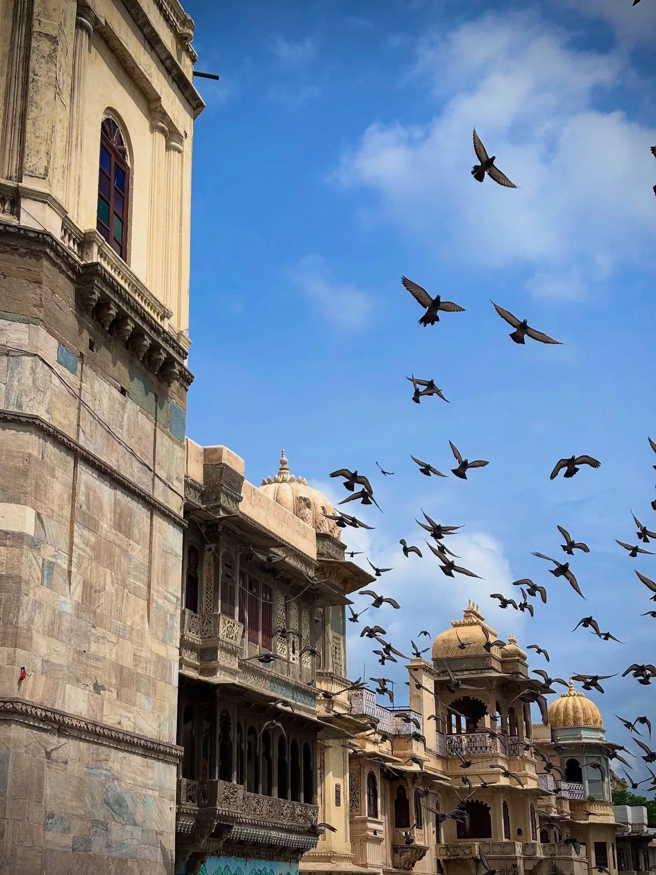 Pigeons flying past stone arches under a blue sky in Udaipur.